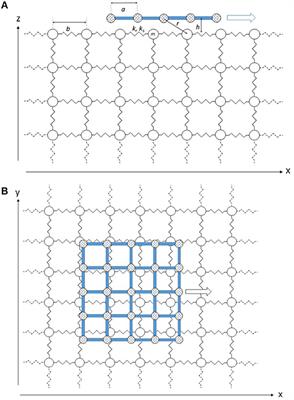 Nanoscale Friction: Phonon Contributions for Single and Multiple Contacts